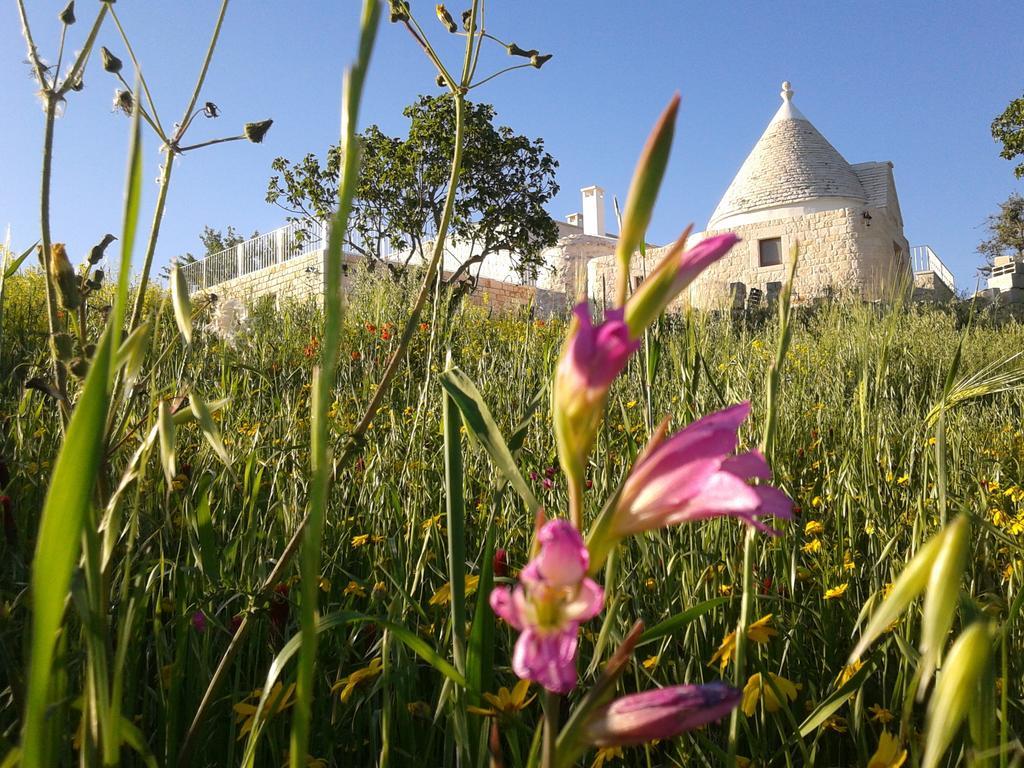 Cappelluzzo Villa Cisternino Dış mekan fotoğraf